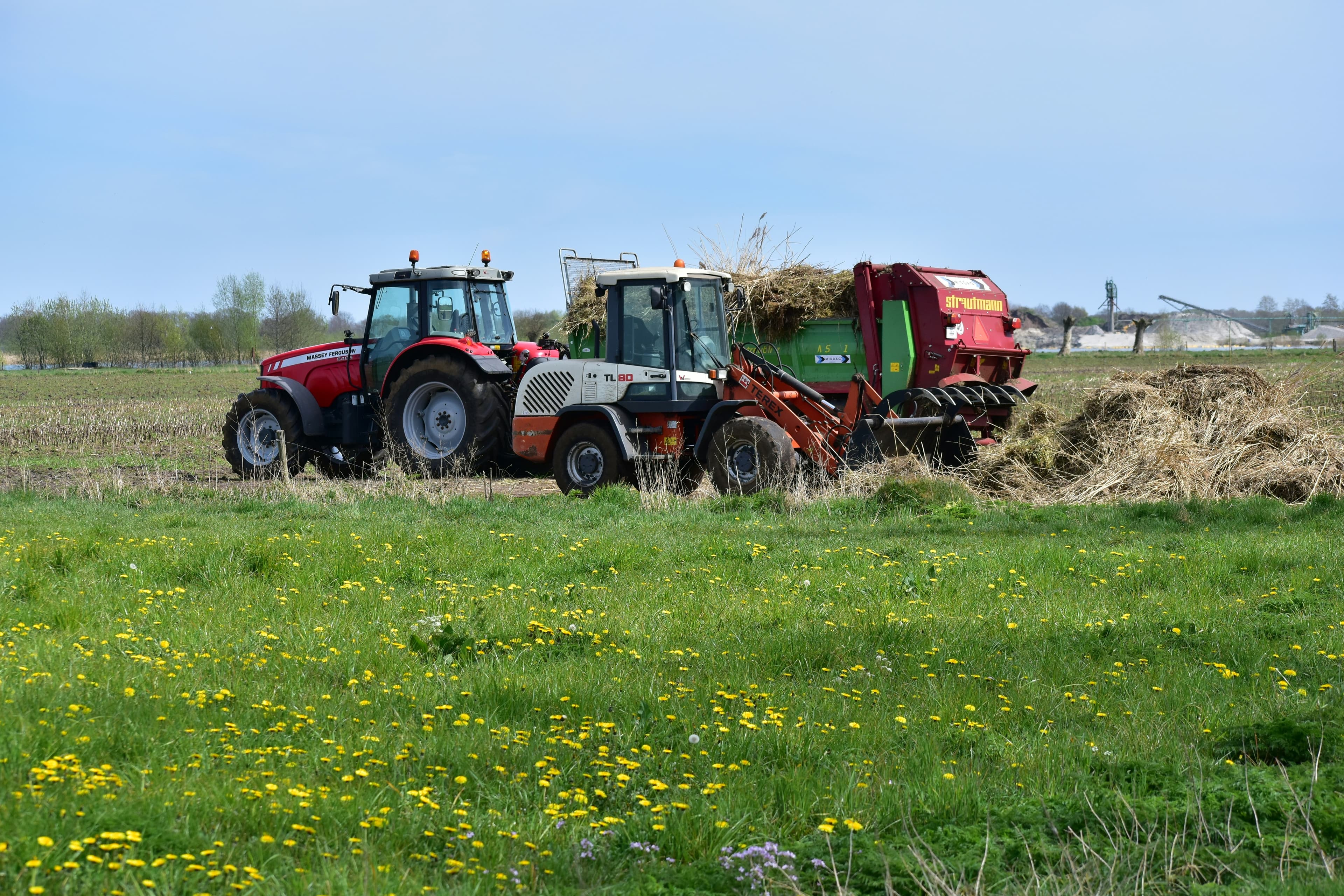 Workers in agricultural field