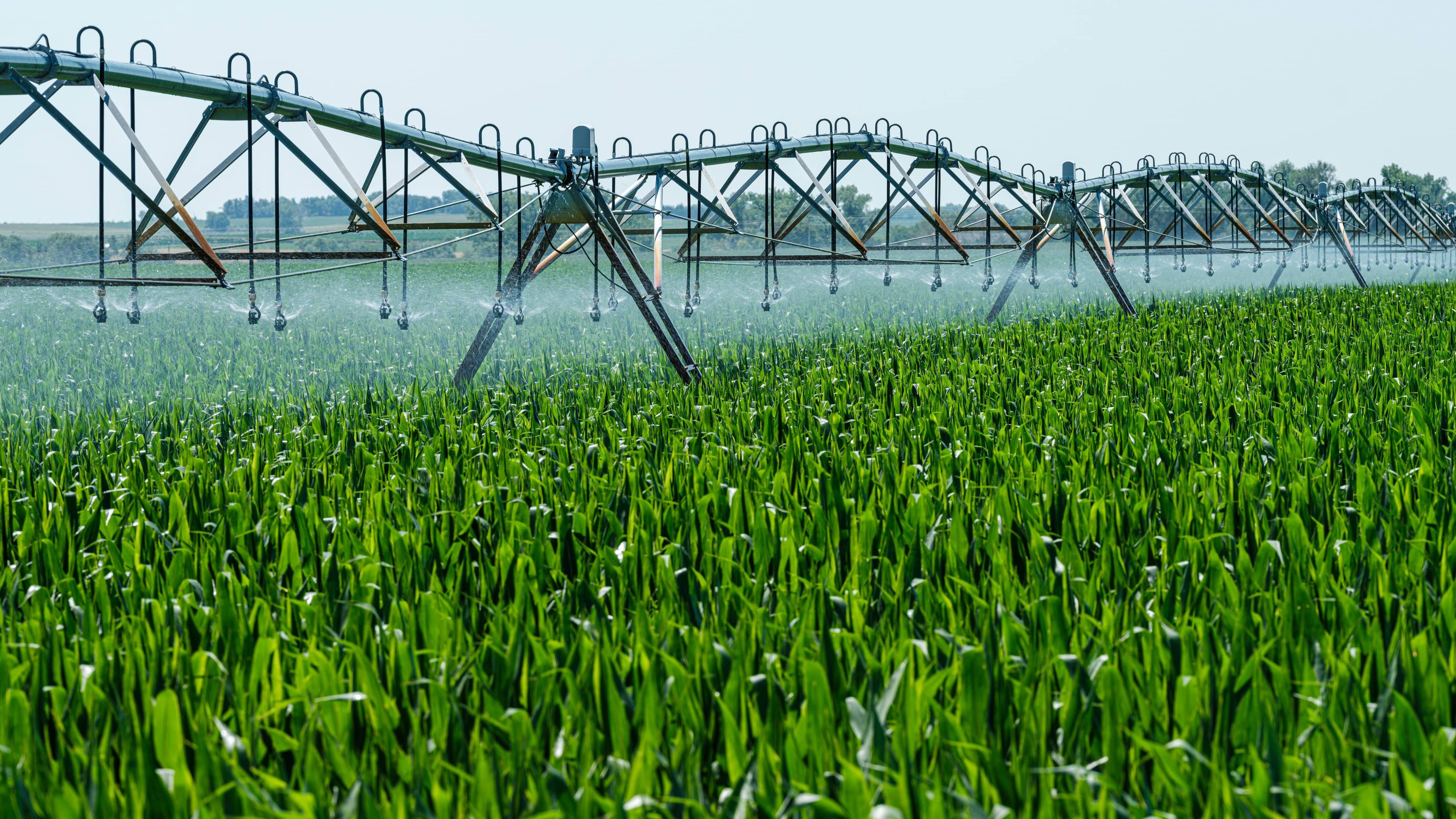 Sustainable Irrigation