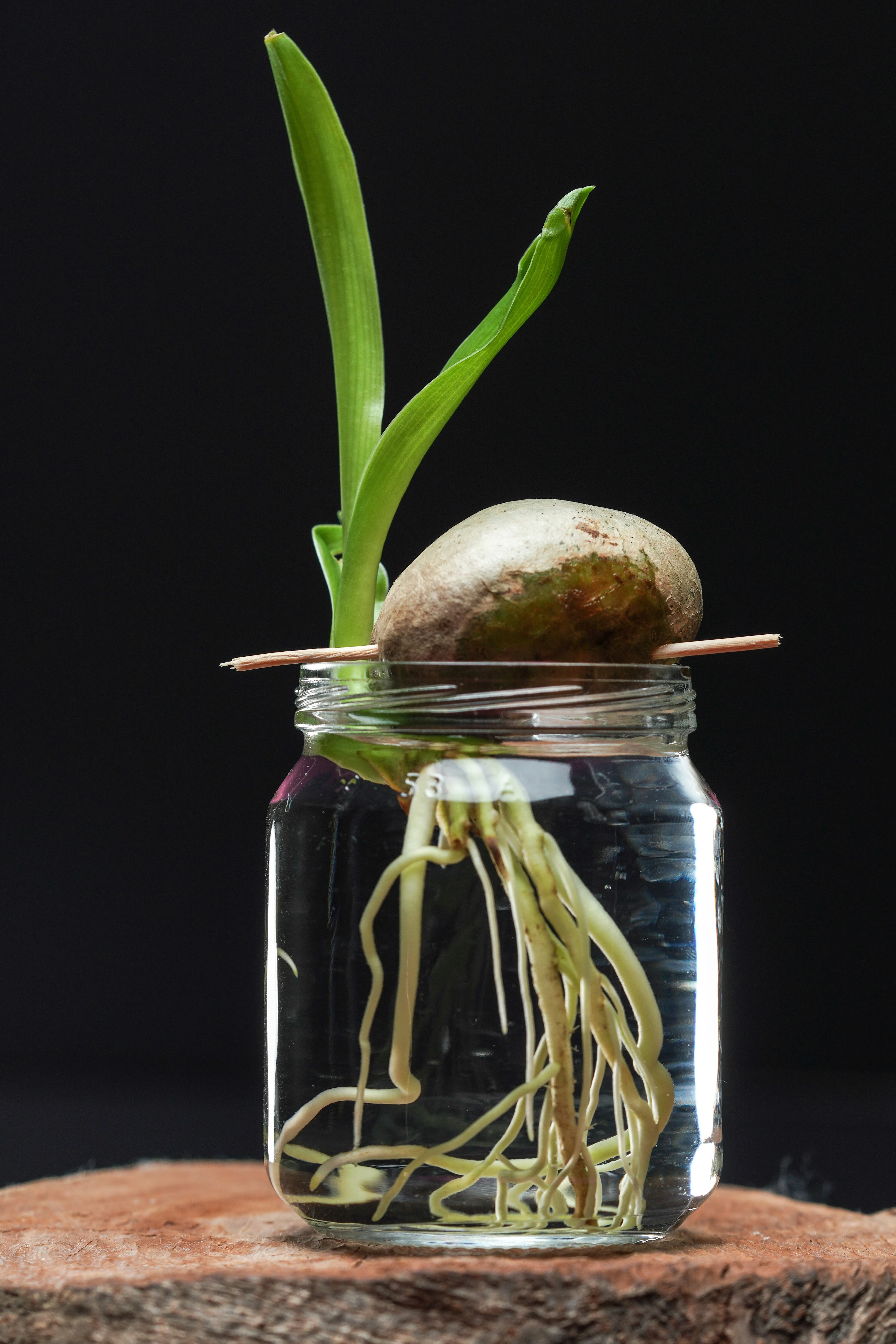 Manufacturing & Biotech