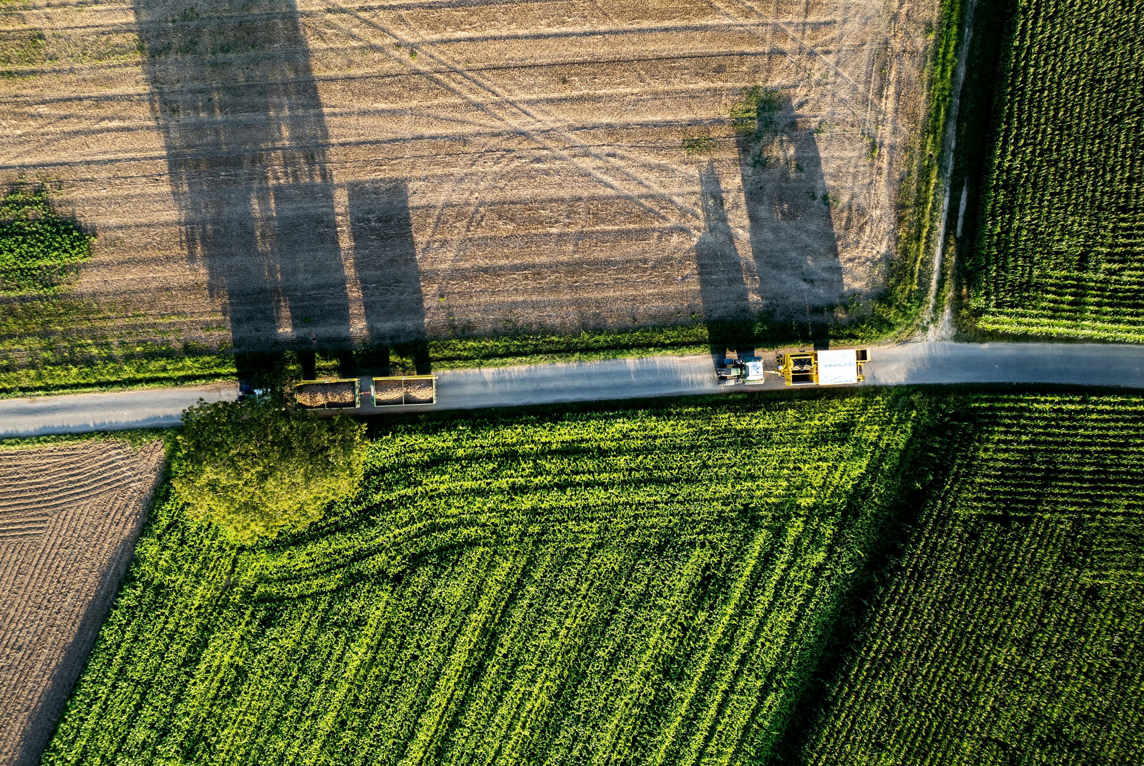 Agri-Focused Logistics Infrastructure