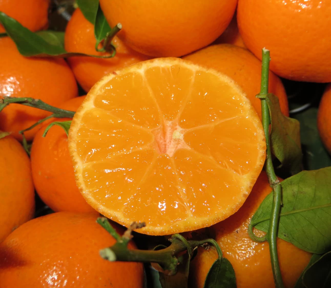 Citrus & Essential Oils Complex