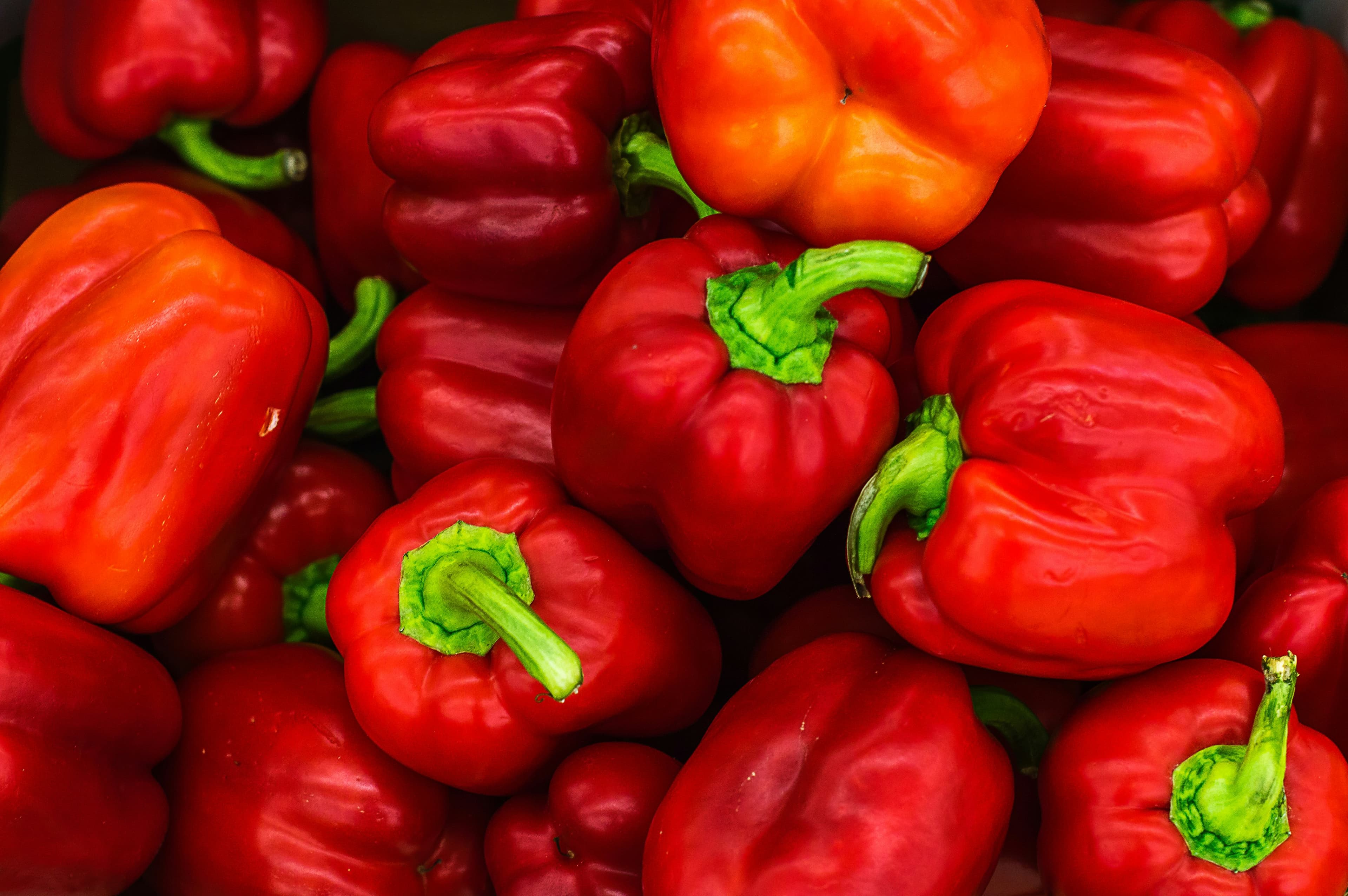 Export-Oriented Agriculture